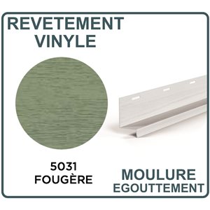 REVETEMENT DE VINYLE MOULURE D'ÉGOUTTEMENT - FOUGÈRE