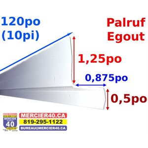 PALRUF MOULURE - EGOUTEMENT DE PVC 10PI 60 / BTE 43913