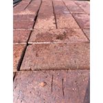 BRIQUE DE PAVÉ UNI ROUGE - 7PO X 4PO X 2 1 / 4PO